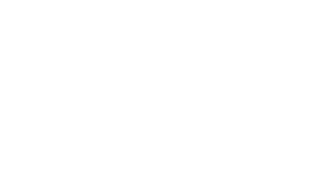 Daten & KI – Solultion Partner (weiss-02